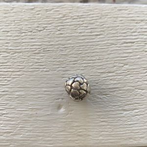 Pandora charm